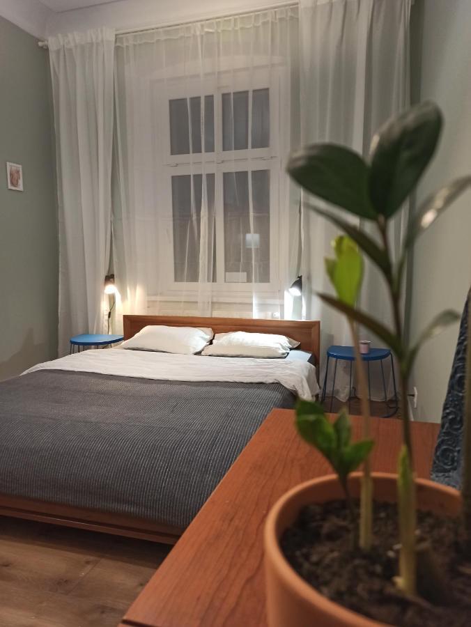 Rozeta Centrum 6os Apartment Legnica