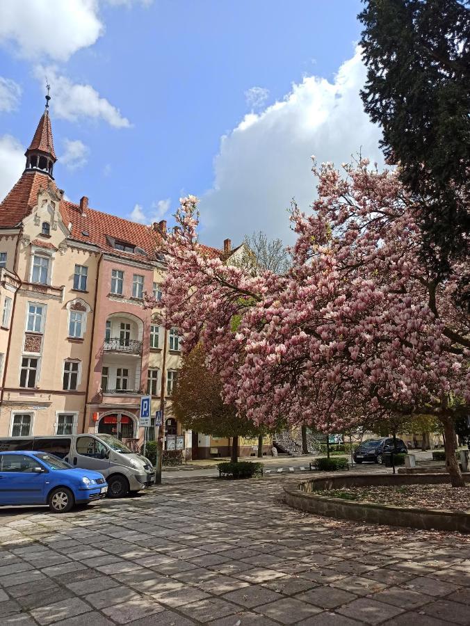 Apartment Rozeta Centrum 6os