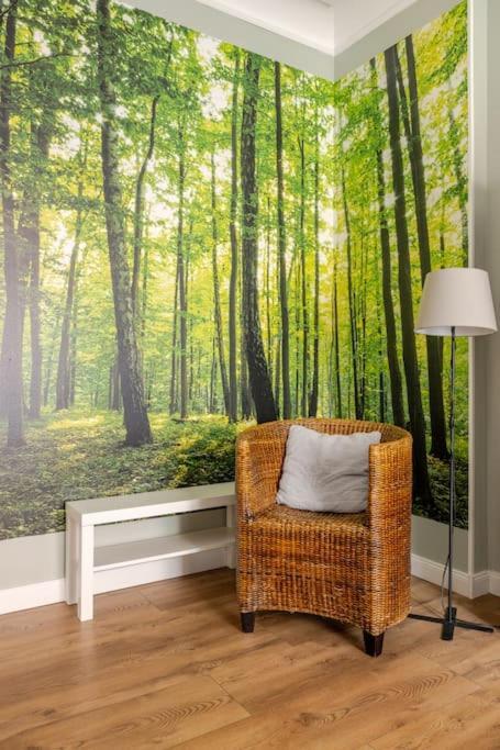 Apartment Rozeta Centrum 6os Legnica